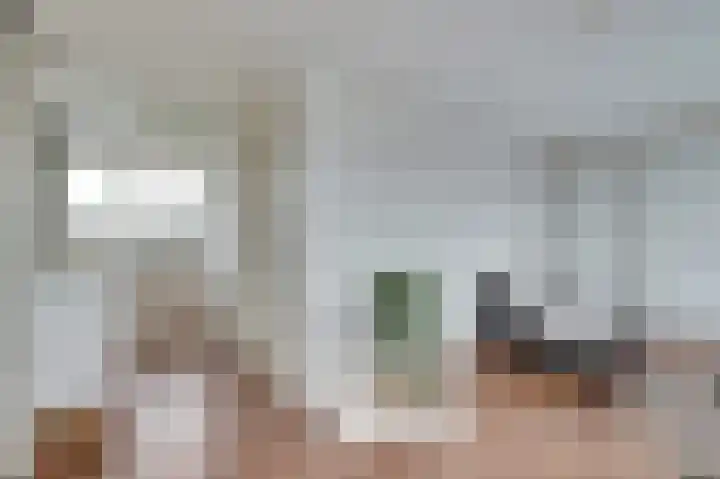 Zwetburgh 52 De Lier thumbnail 31
