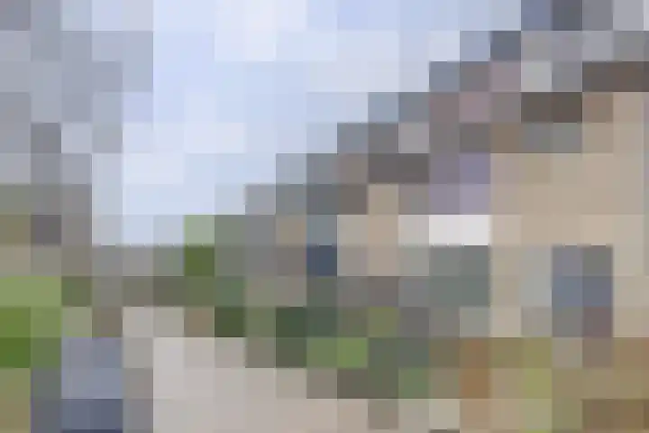 Zwetburgh 52 De Lier thumbnail 36