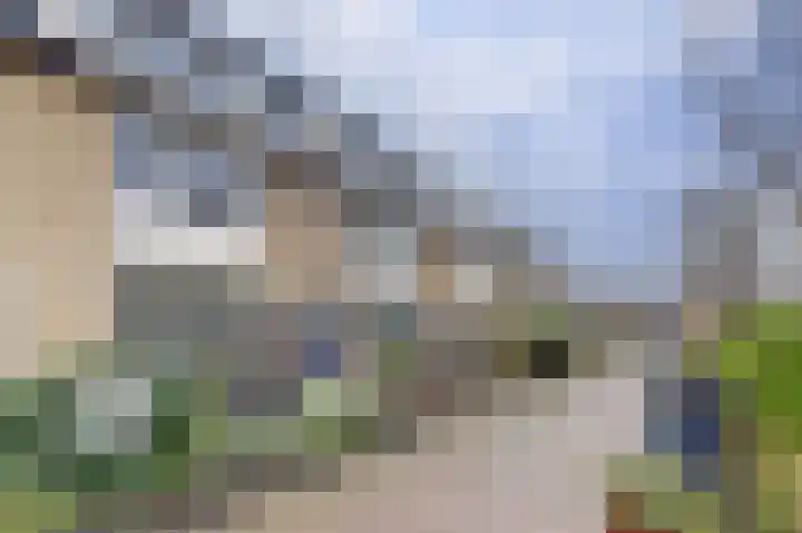 Zwetburgh 52 De Lier thumbnail 37