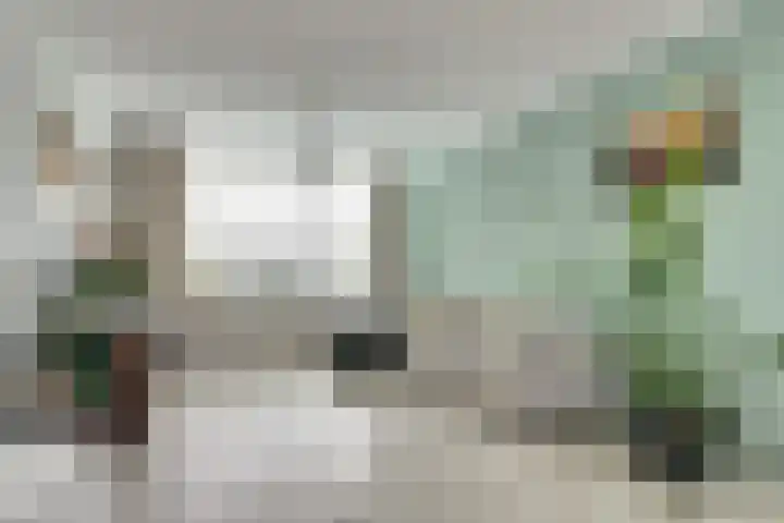 Zwetburgh 52 De Lier thumbnail 4