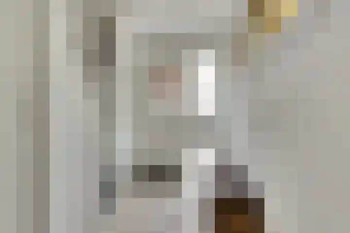 Zwetburgh 52 De Lier thumbnail 8