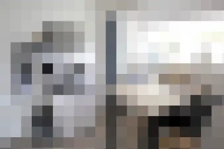 Zwethkade Zuid 3 Den Hoorn thumbnail 6
