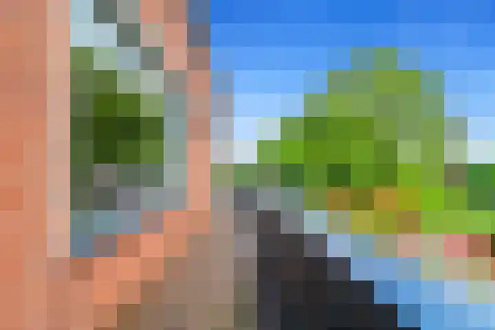 Zwethkade Zuid 35 Den Hoorn thumbnail 15