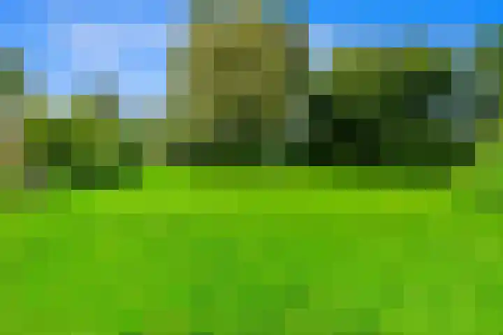 Zwethkade Zuid 35 Den Hoorn thumbnail 32