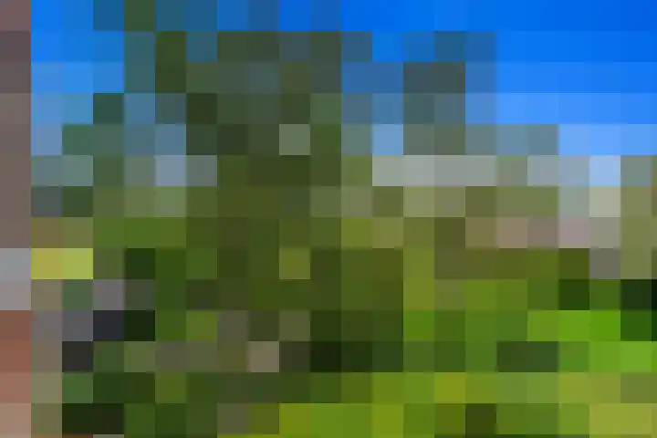 Zwethkade Zuid 35 Den Hoorn thumbnail 47