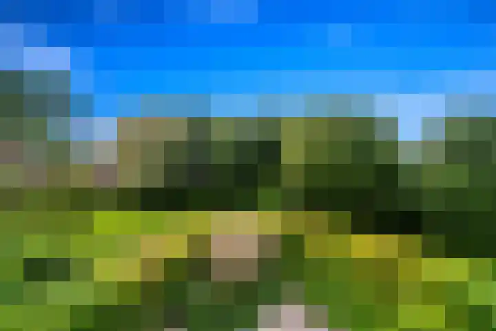 Zwethkade Zuid 35 Den Hoorn thumbnail 48