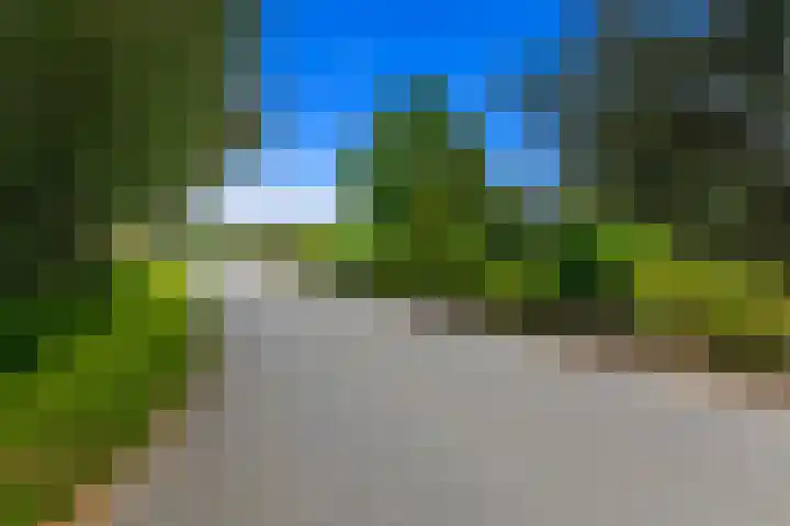 Zwethkade Zuid 35 Den Hoorn thumbnail 49