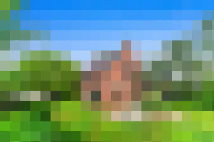 Zwethkade Zuid 35 Den Hoorn thumbnail 63