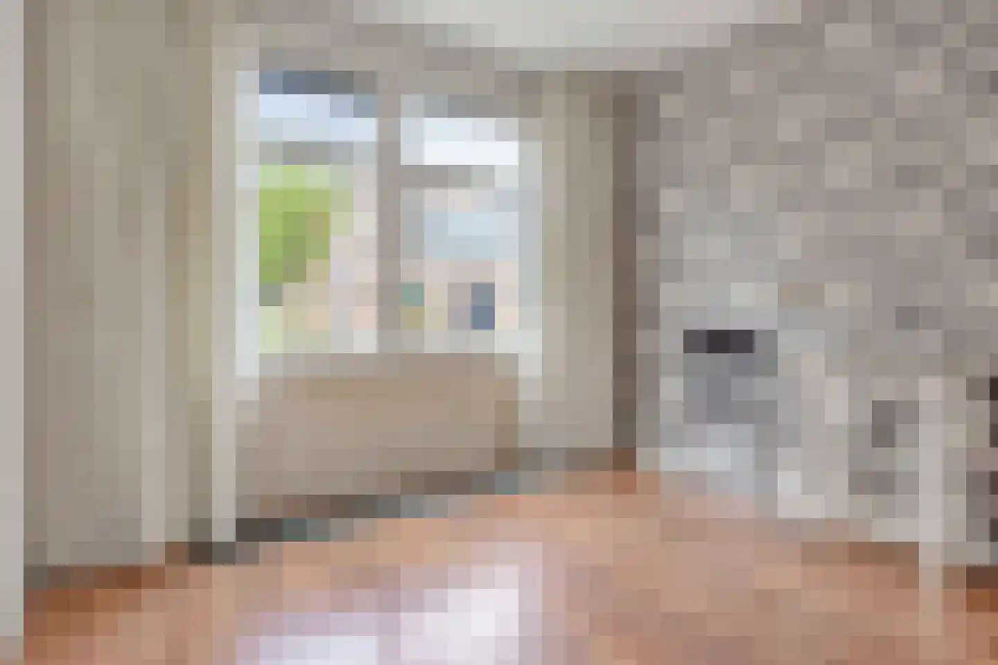 Zwetstraat 137 Den Haag thumbnail 9