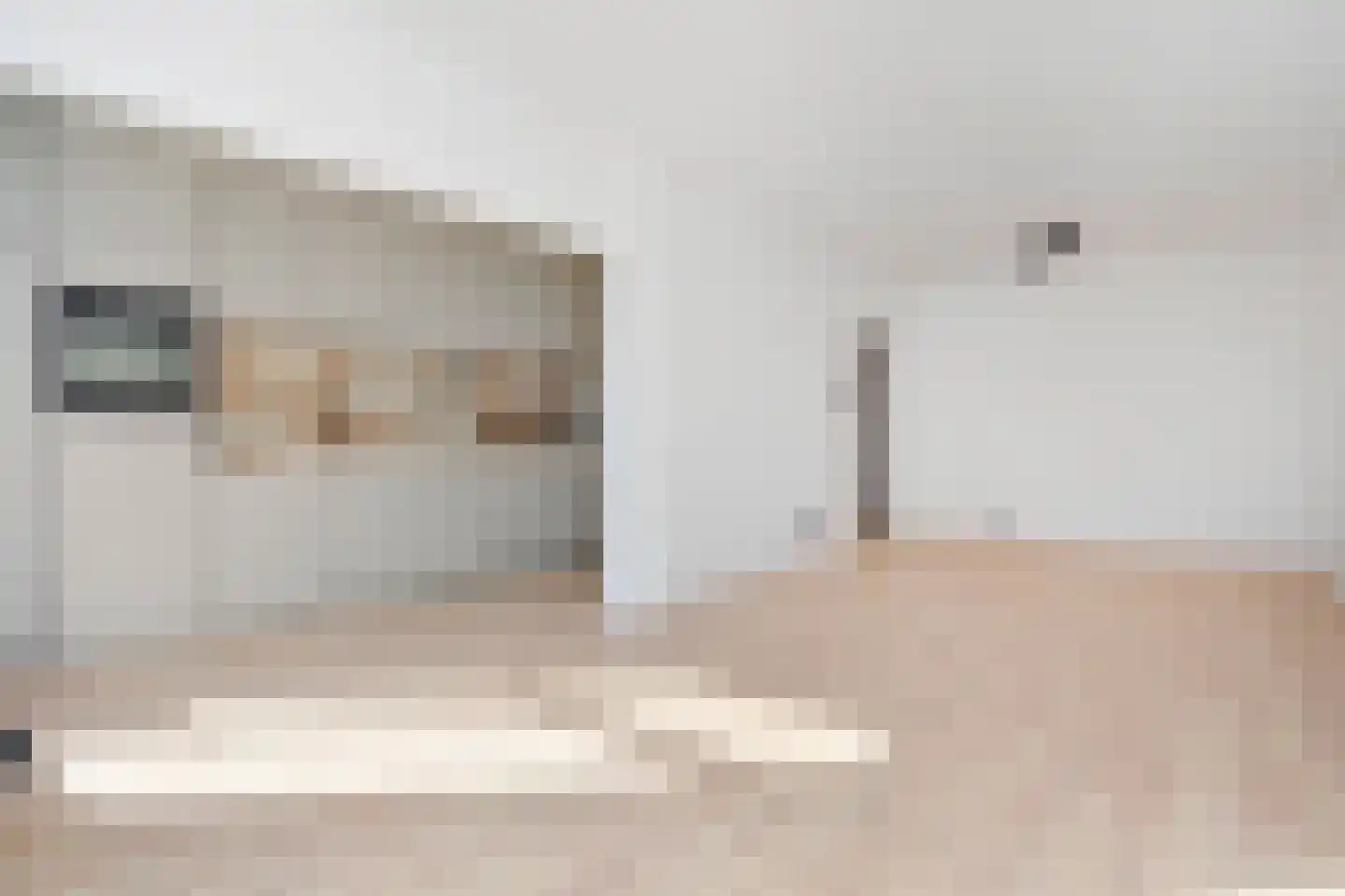 Zwetstraat 17 Den Haag thumbnail 9