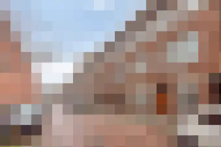 Zwetstraat 19 Den Haag thumbnail 6