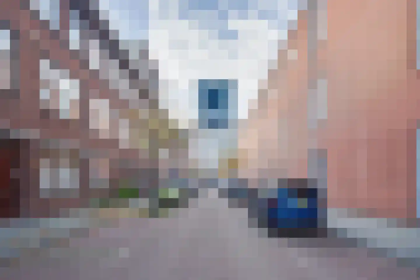 Zwetstraat 35 Den Haag thumbnail 52