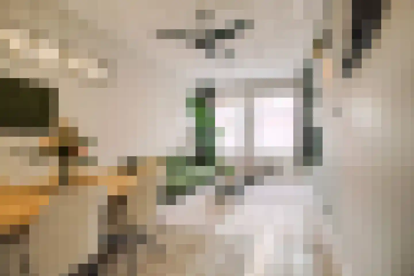 Zwetstraat 35 Den Haag thumbnail 9