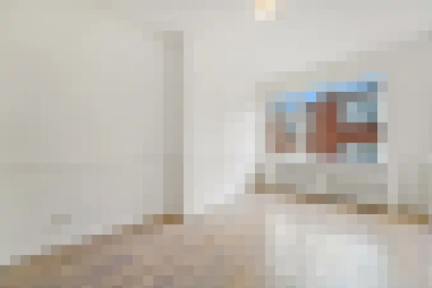Zwetstraat 42 Den Haag thumbnail 17