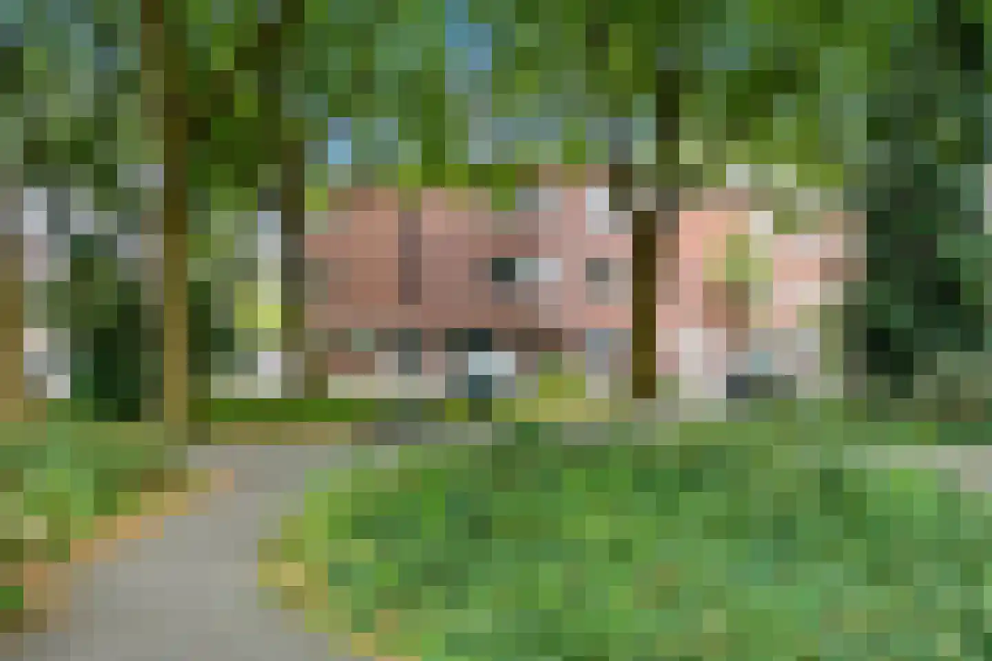 Zwetstraat 42 Den Haag thumbnail 20