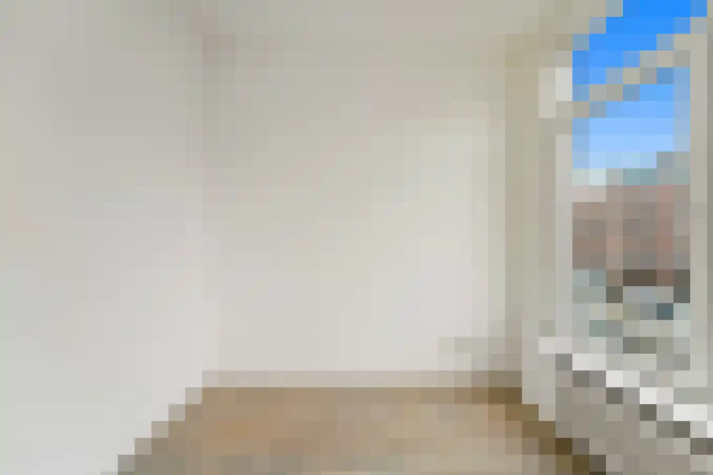 Zwetstraat 42 Den Haag thumbnail 8
