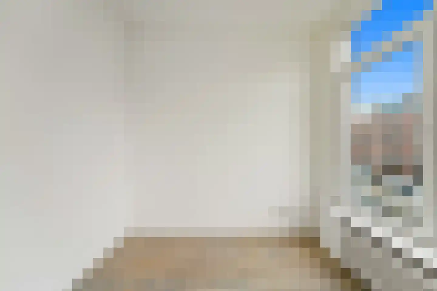 Zwetstraat 42 Den Haag thumbnail 8