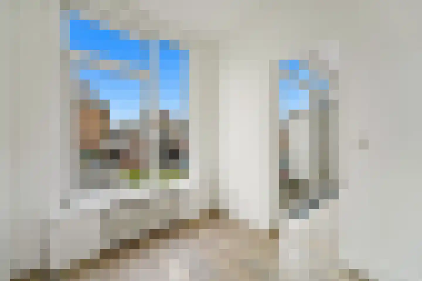 Zwetstraat 42 Den Haag thumbnail 9