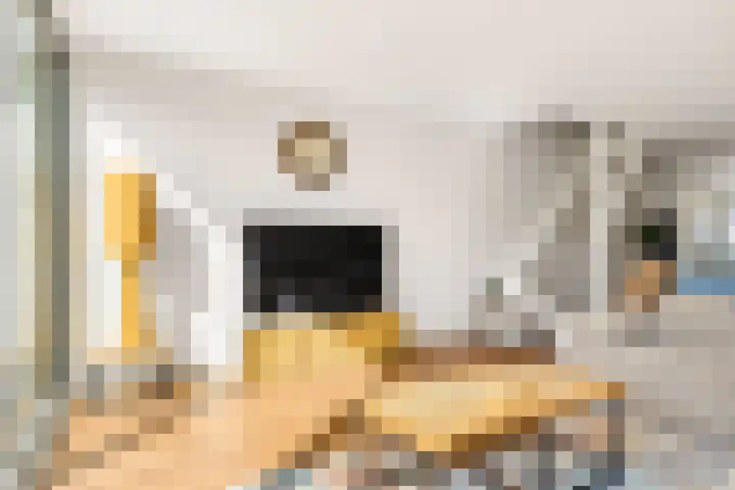 Zwette 12 Zwolle thumbnail 12