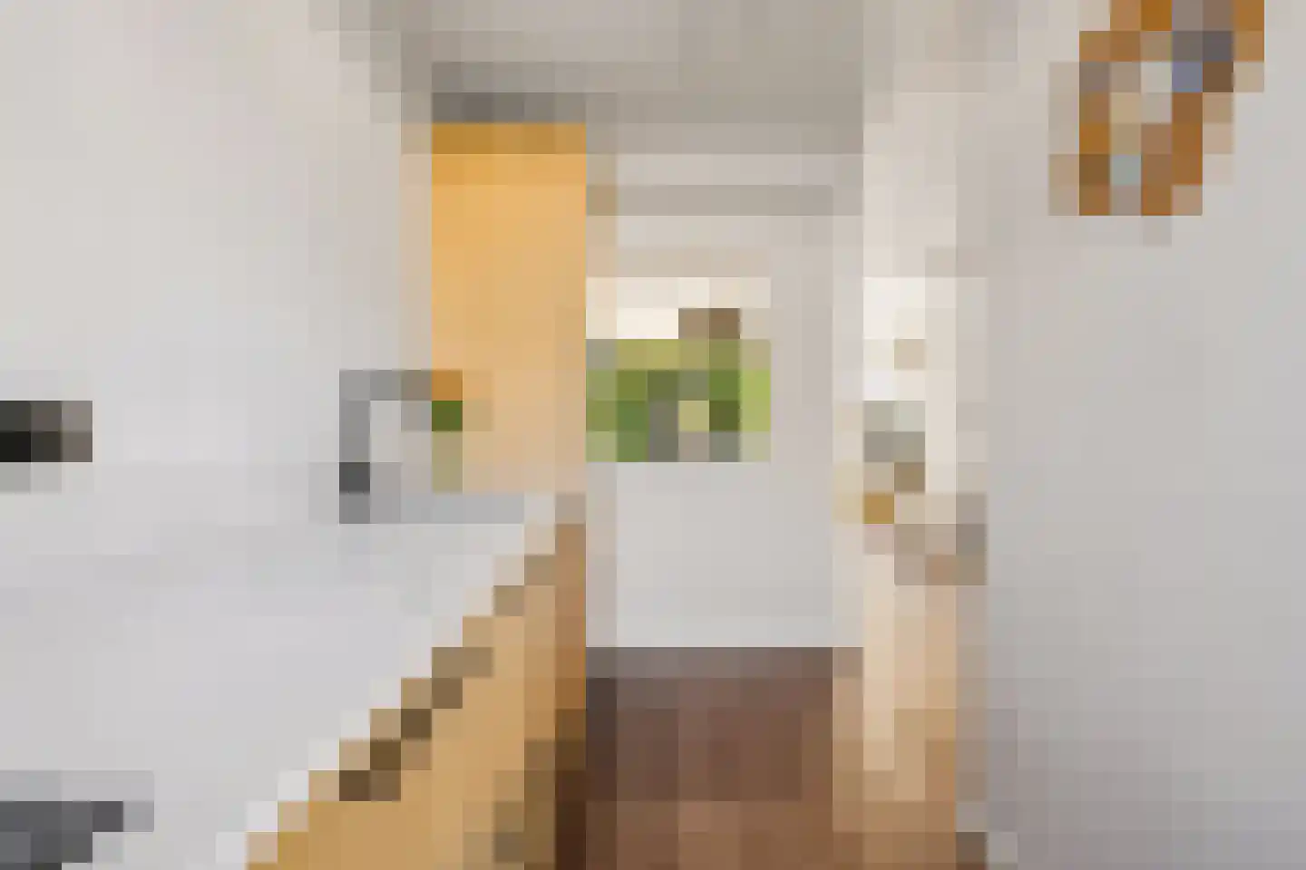 Zwette 12 Zwolle thumbnail 21