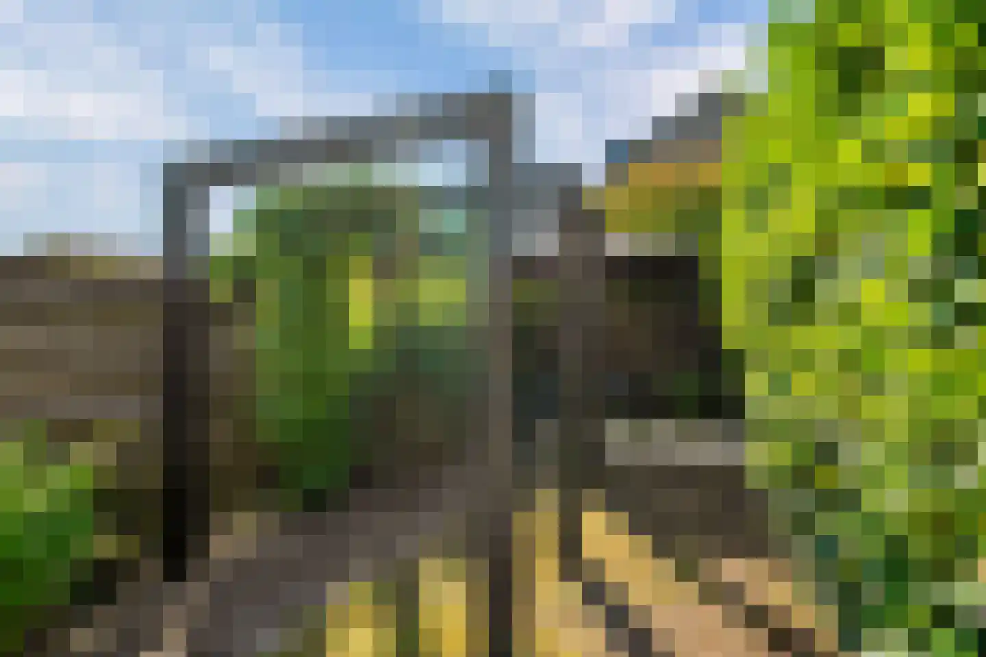 Zwette 12 Zwolle thumbnail 45