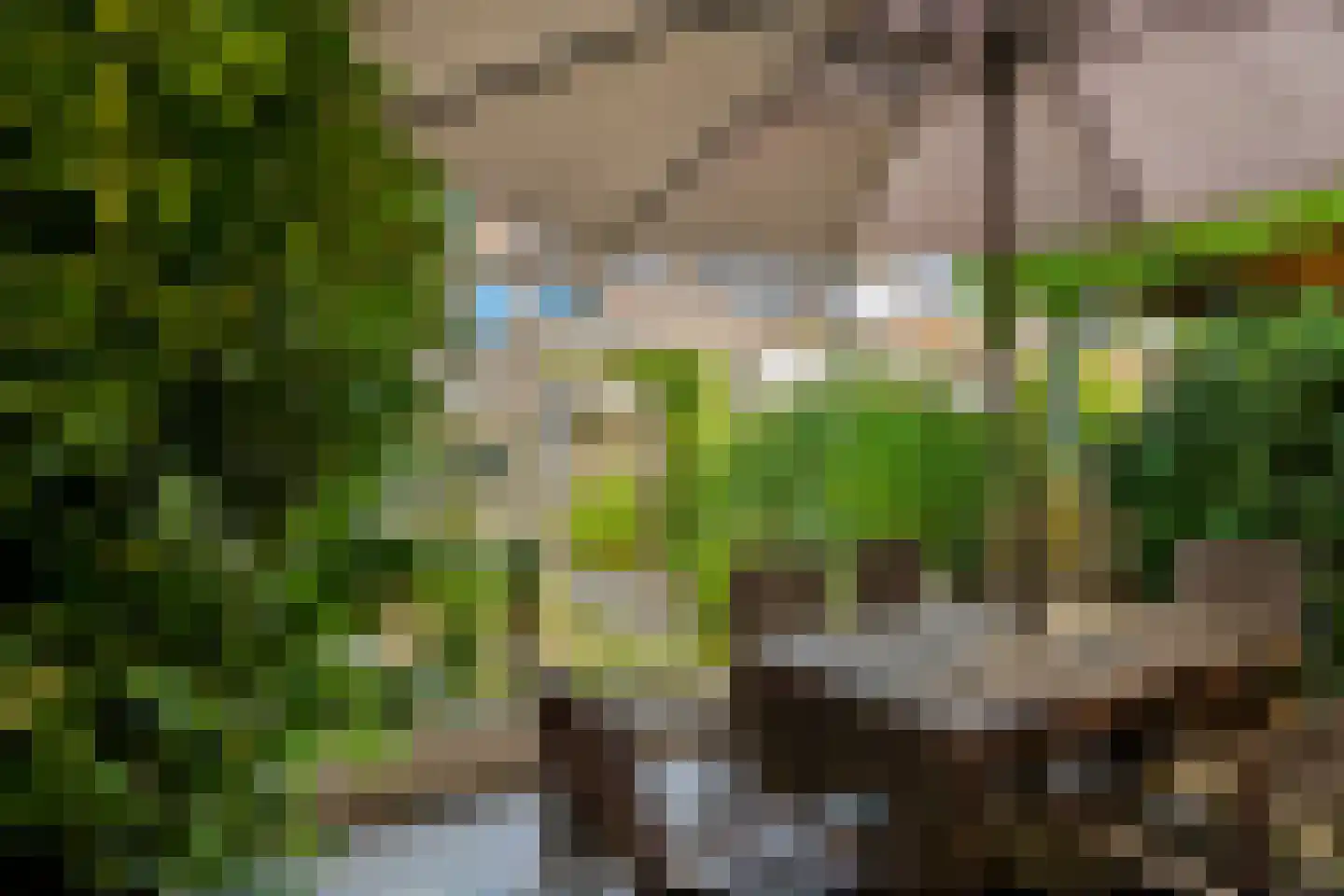 Zwette 12 Zwolle thumbnail 48