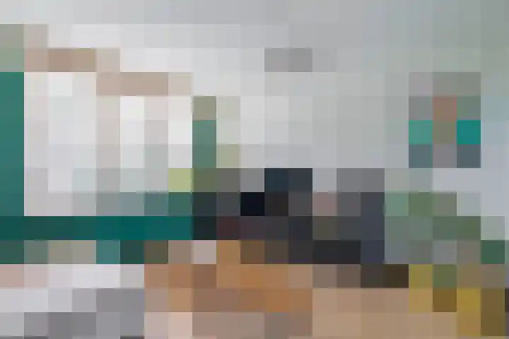 Zwette 13 Hekelingen thumbnail 13