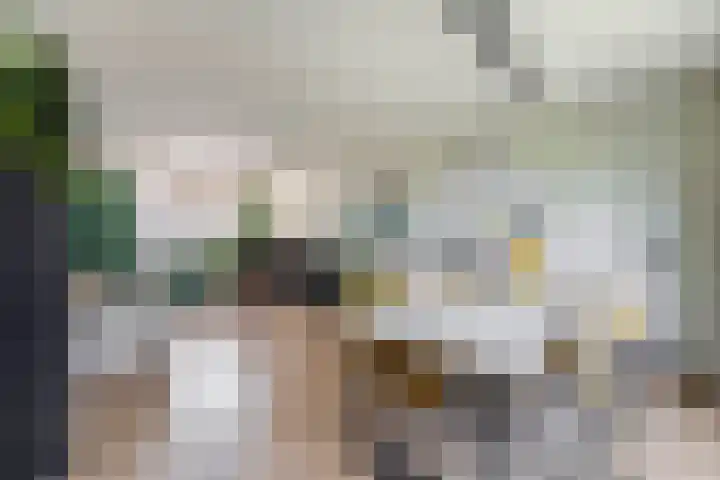 Zwette 13 Hekelingen thumbnail 14