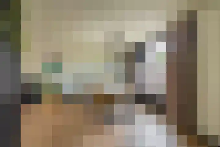 Zwette 13 Hekelingen thumbnail 16