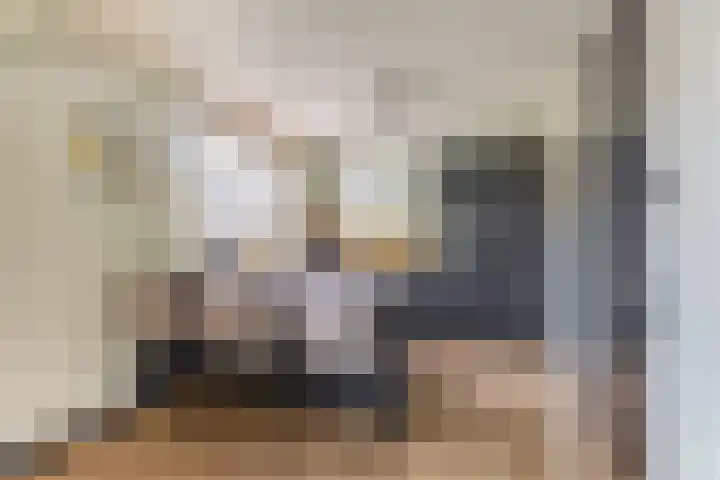Zwette 13 Hekelingen thumbnail 17