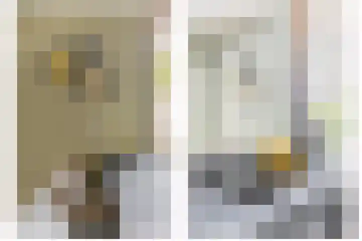Zwette 13 Hekelingen thumbnail 19