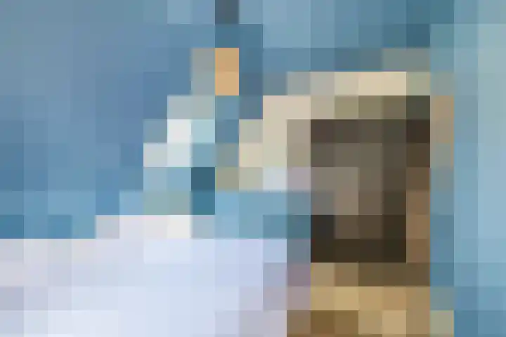 Zwette 13 Hekelingen thumbnail 23