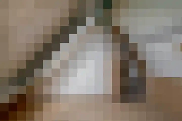 Zwette 13 Hekelingen thumbnail 29
