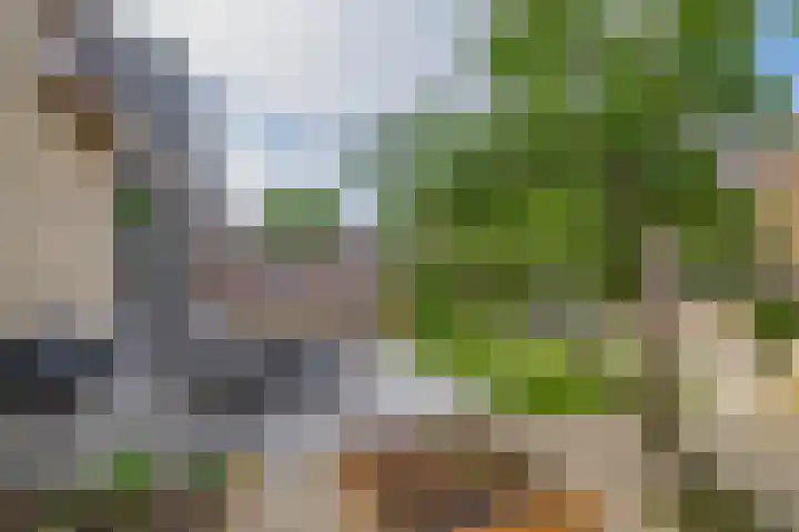Zwette 13 Hekelingen thumbnail 33