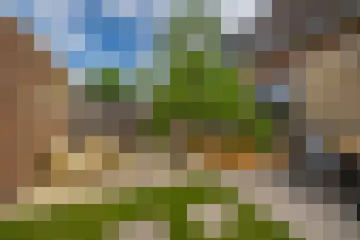Zwette 13 Hekelingen thumbnail 34