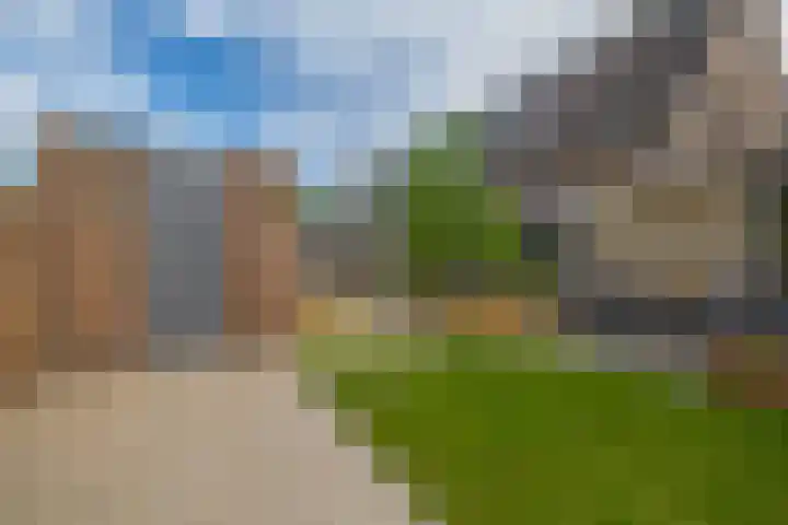 Zwette 13 Hekelingen thumbnail 36