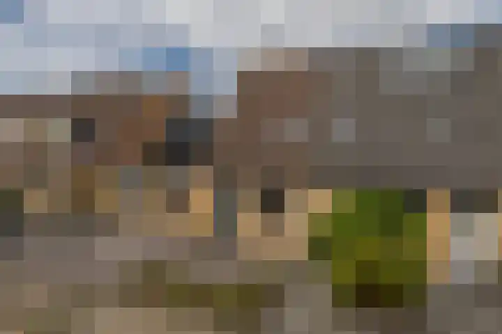 Zwette 13 Hekelingen thumbnail 6