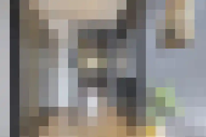 Zwette 13 Hekelingen thumbnail 9