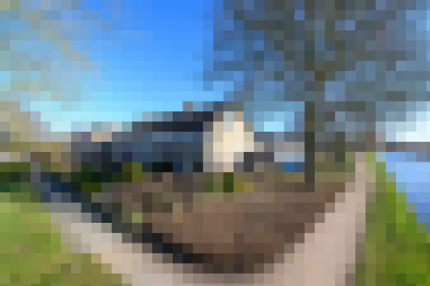 Zwette 16 Heerenveen thumbnail 41