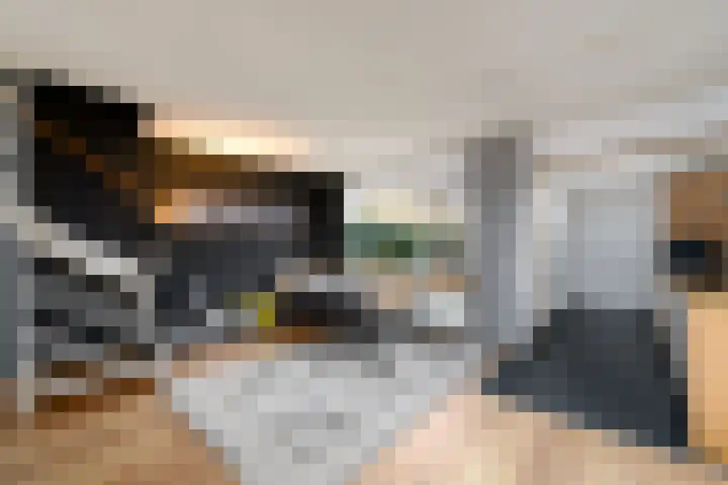 Zwette 16 Heerenveen thumbnail 6