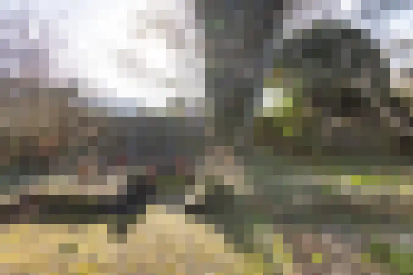 Zwette 17 Heerenveen thumbnail 29