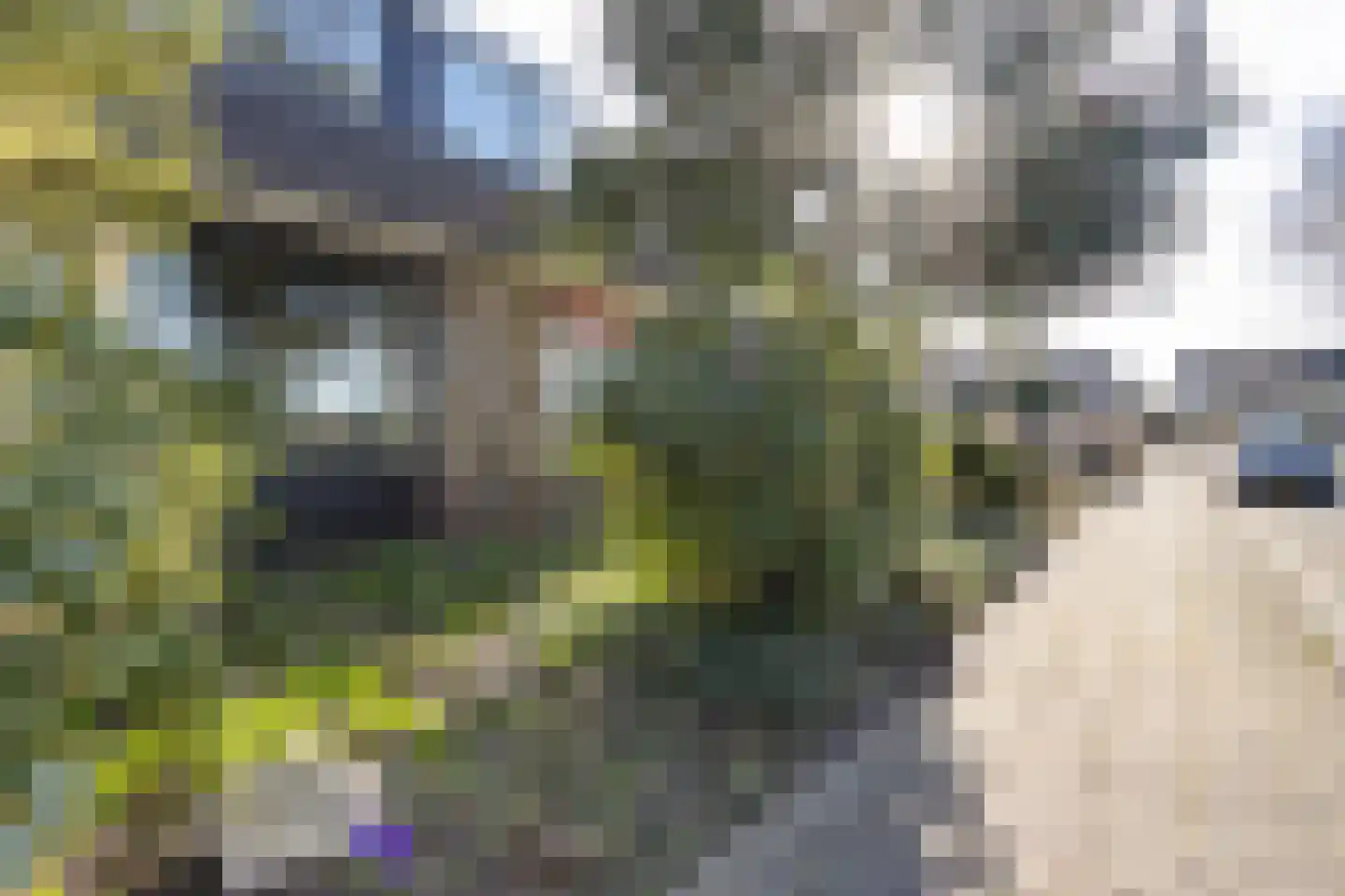 Zwette 17 Heerenveen thumbnail 34