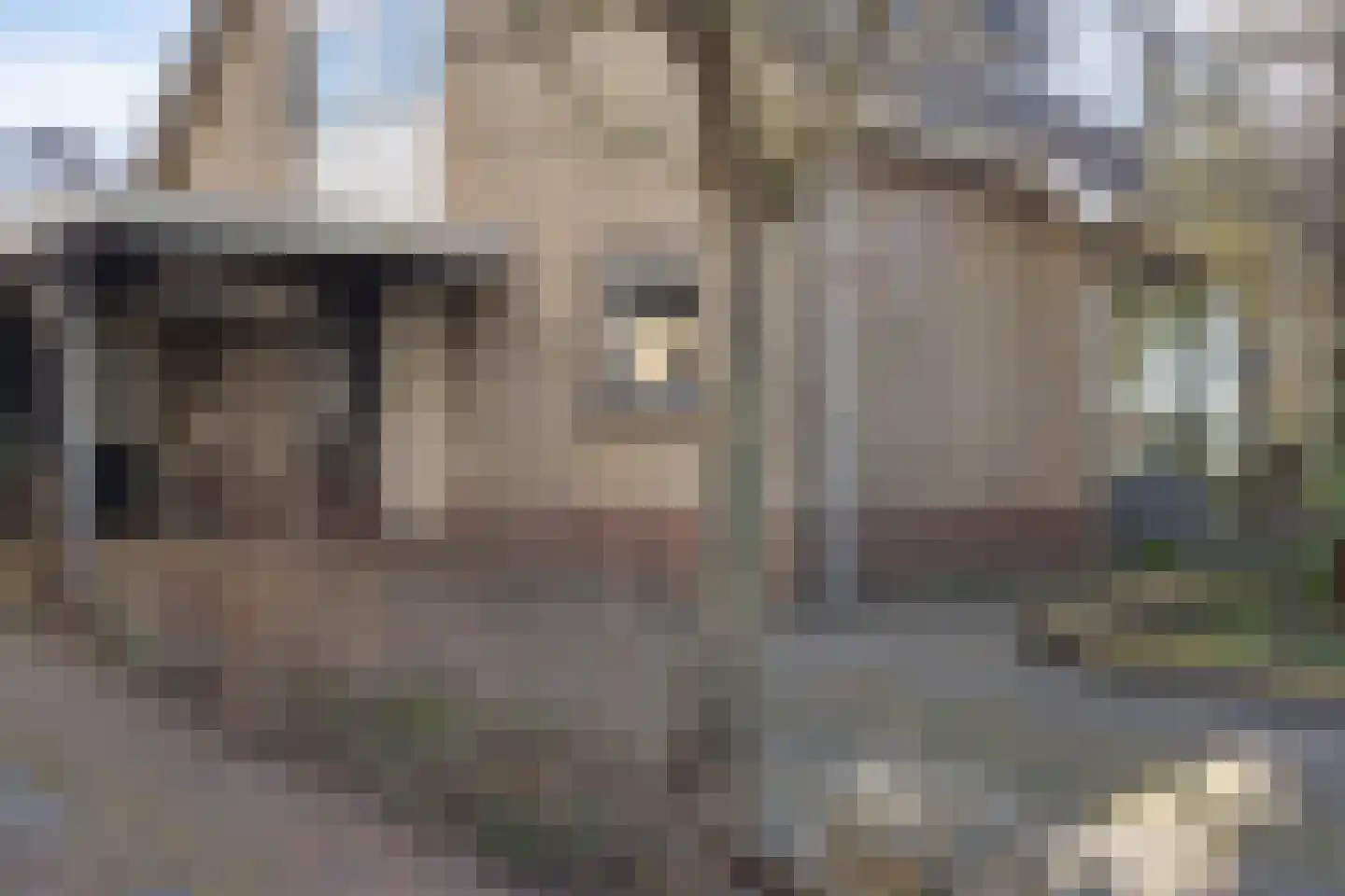 Zwette 17 Heerenveen thumbnail 36