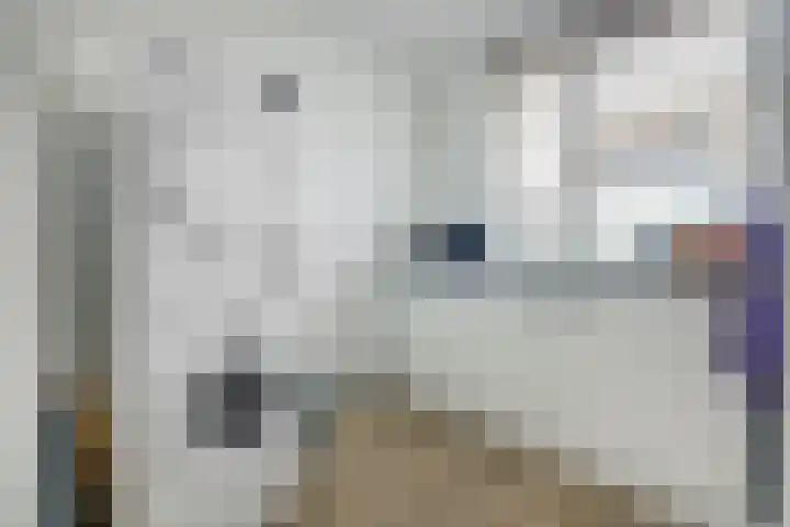 Zwette 19 Hekelingen thumbnail 10