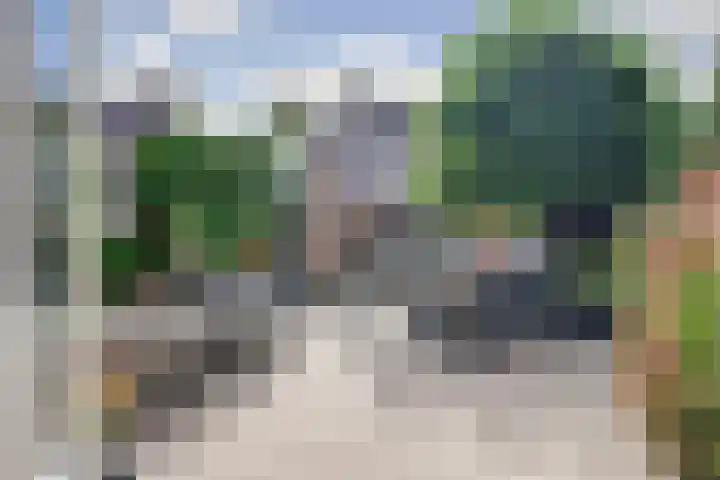Zwette 19 Hekelingen thumbnail 11