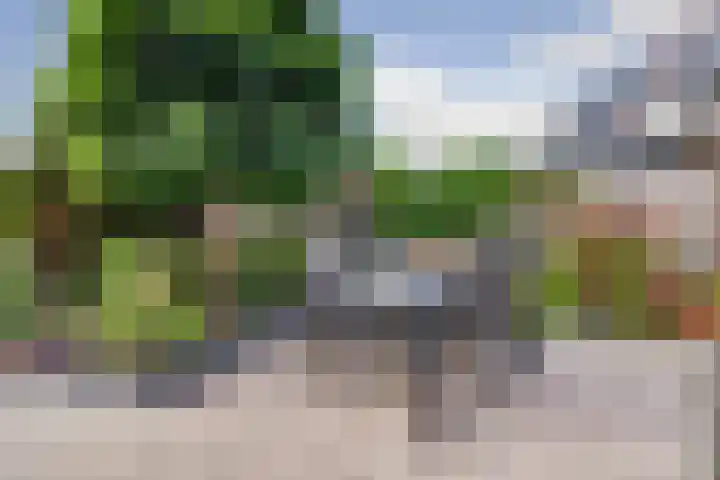 Zwette 19 Hekelingen thumbnail 12