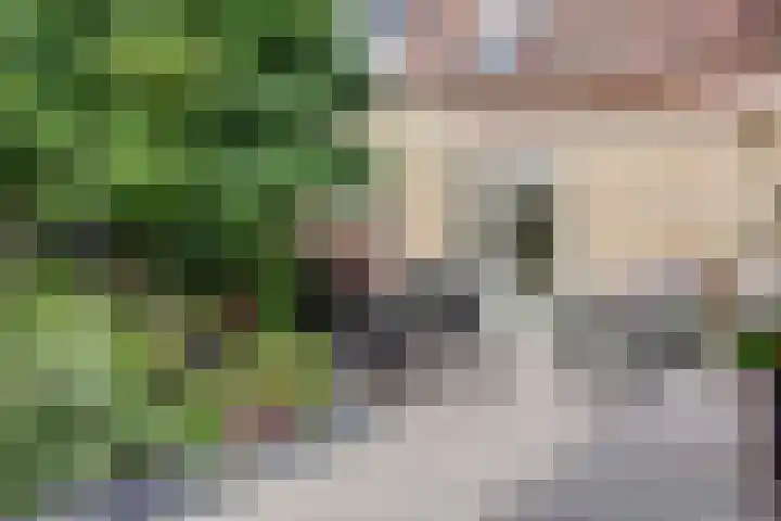 Zwette 19 Hekelingen thumbnail 13