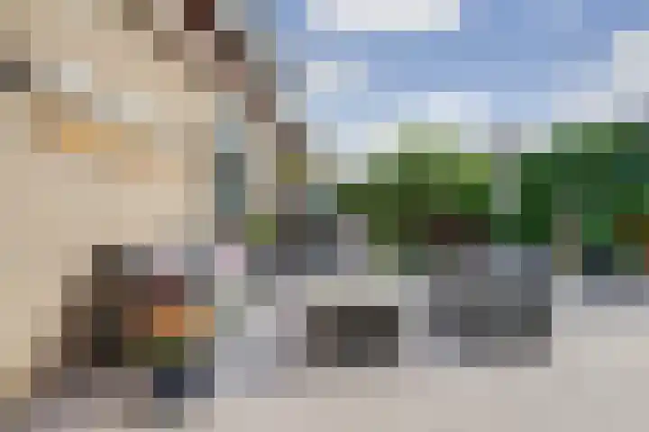 Zwette 19 Hekelingen thumbnail 16