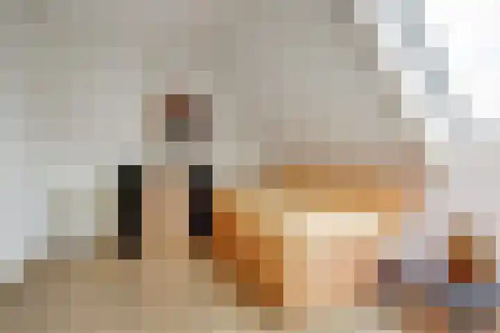 Zwette 19 Hekelingen thumbnail 27