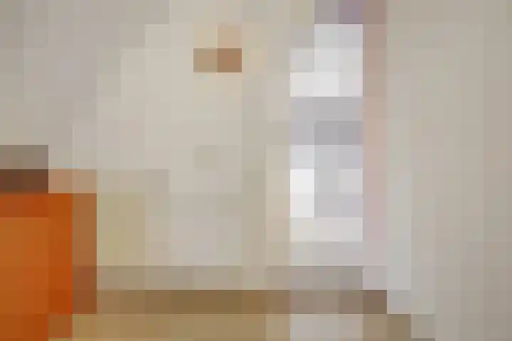Zwette 19 Hekelingen thumbnail 29
